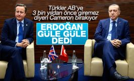 Erdoğan İngiltere Başbakanı Cameron'la görüştü