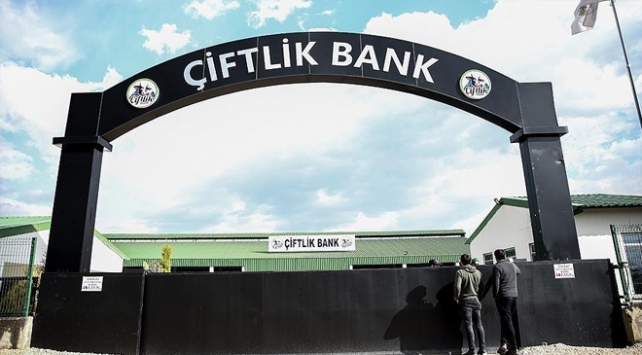 Çiftlik Bank Yönetim Kurulu Üyesi Yıkılmaz: 700 bin lira prim aldım